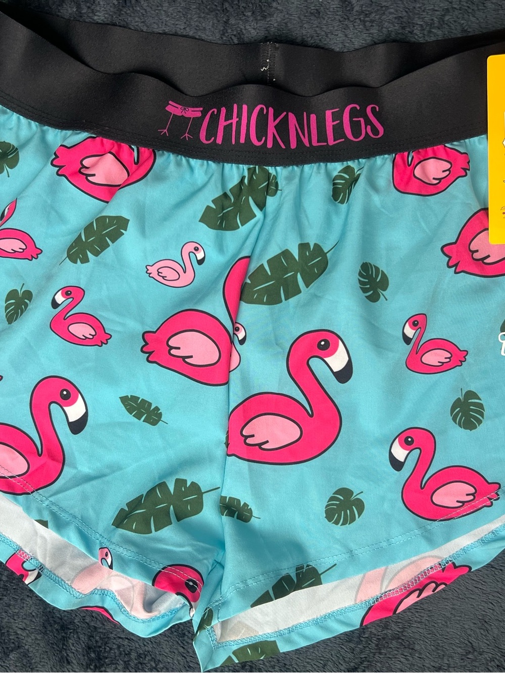 Chicknlegs Women's Flamingo Print Shorts in Aqua